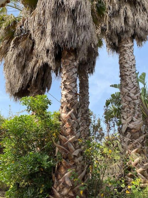 Casa De Campo En Playa Dosel 2 Mareny de San Lorenzo エクステリア 写真